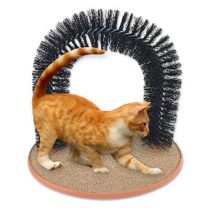 펫블랑 고양이 터널 브러쉬